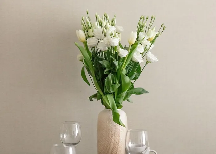 Belmare Aqua By Solarento